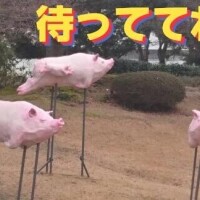 さやか【業界未経験】