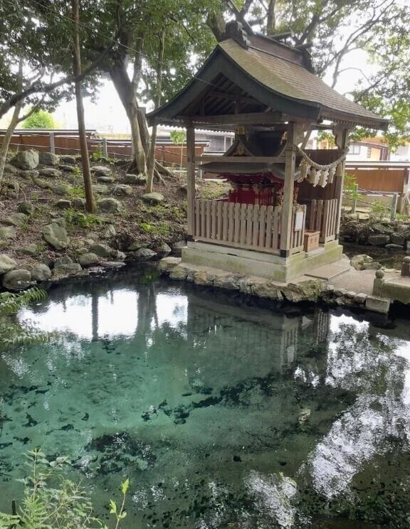 ٩(*´︶`*)۶おはよ〜♬