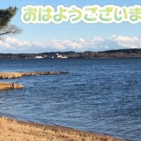 さやか【業界未経験】