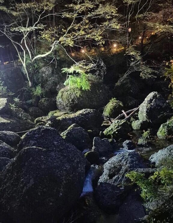 ありがとう❣️