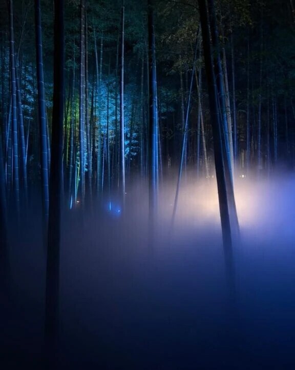 おはよう🌼*･