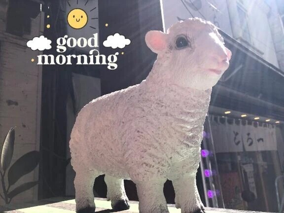 🌸華金🥇ですね！