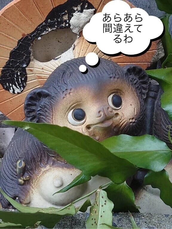 マイガール限定動画