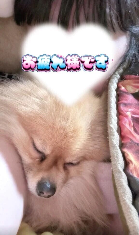 お仕事お疲れ様です(⋆ᴗ͈ˬᴗ͈)”