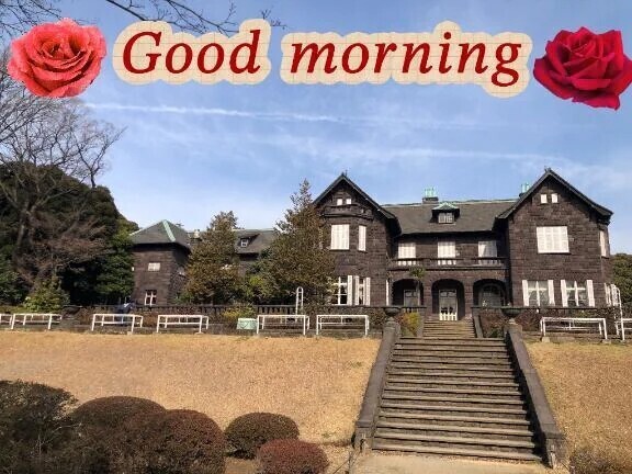 かなり久しぶりに