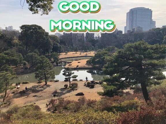 さぁ今日も頑張ります🔥