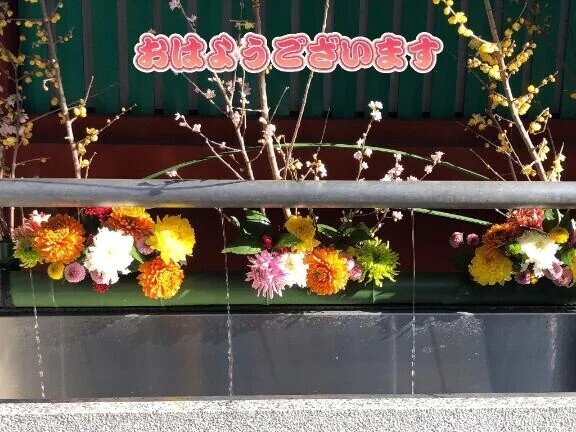 3月もよろしくお願いします🌸