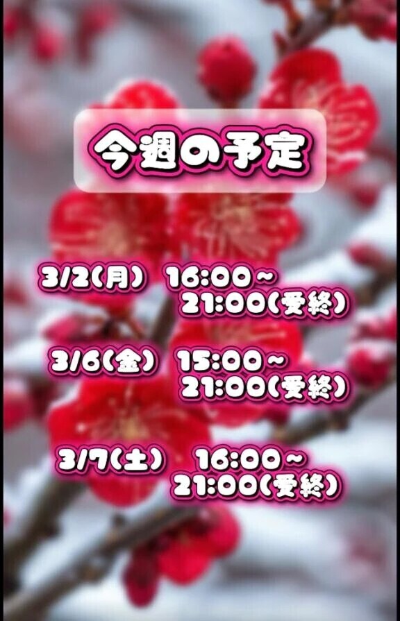 出勤のお知らせ⋆͛📢⋆