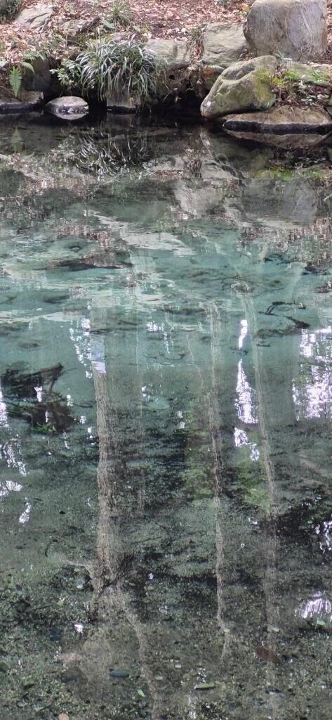 ありがとう❣️