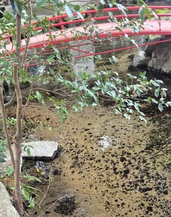 ありがとう❣️