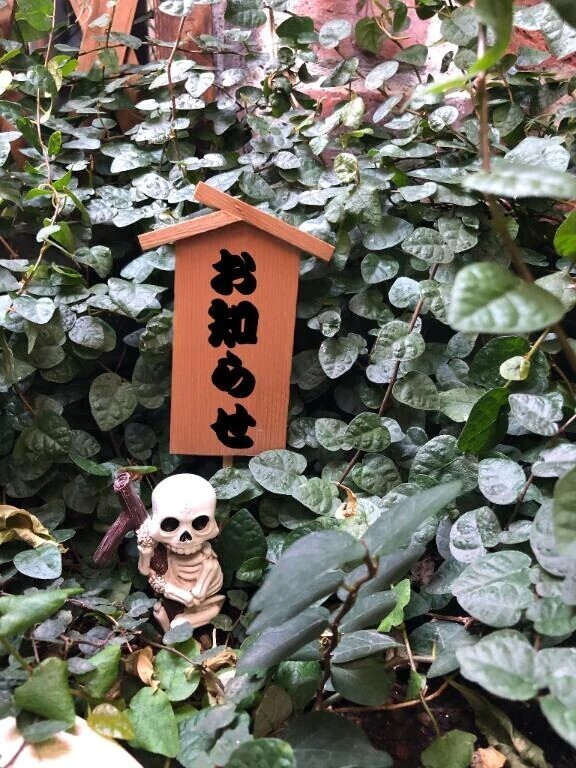 急遽すみません🙇‍♀️