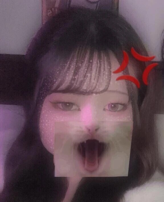 今日はおやすみだに