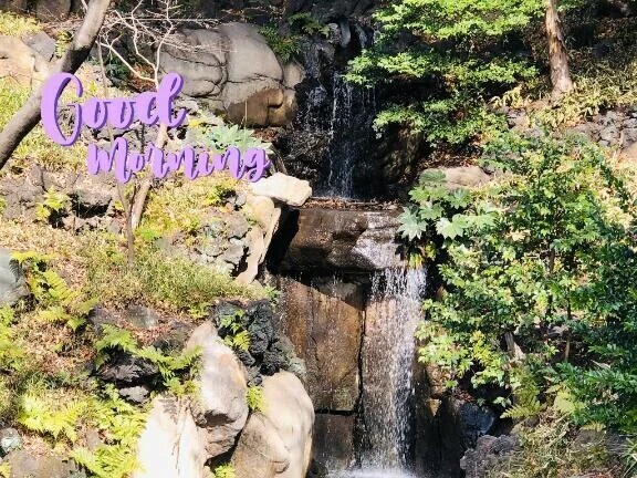 今日はおやすみです