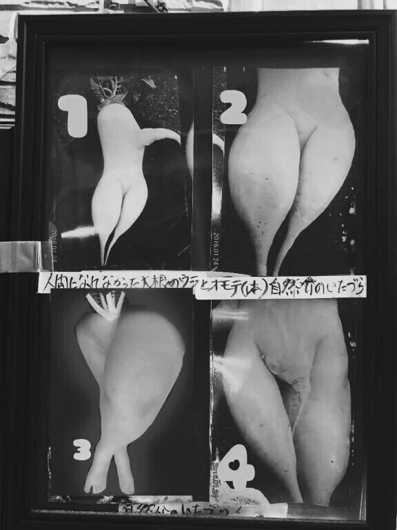 どれがさやかの足かな？