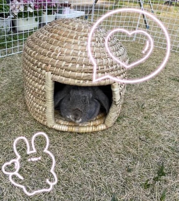 明日も…🙇‍♀️