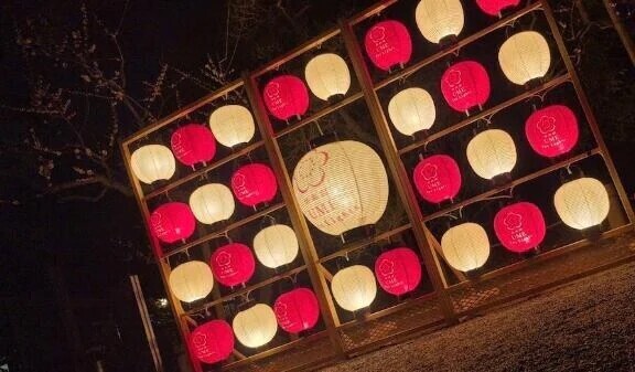 ありがとう❣️