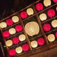 ねね【業界未経験】