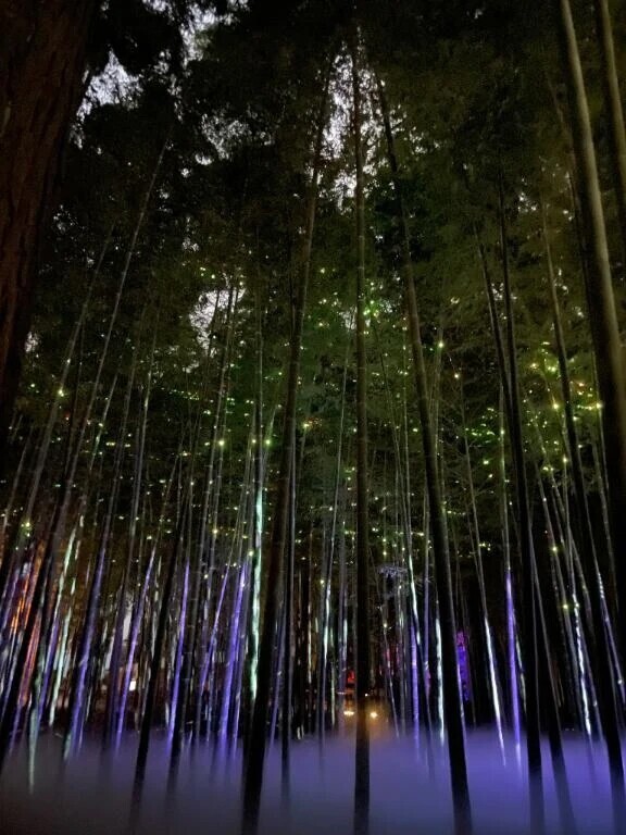 ありがとう❣️