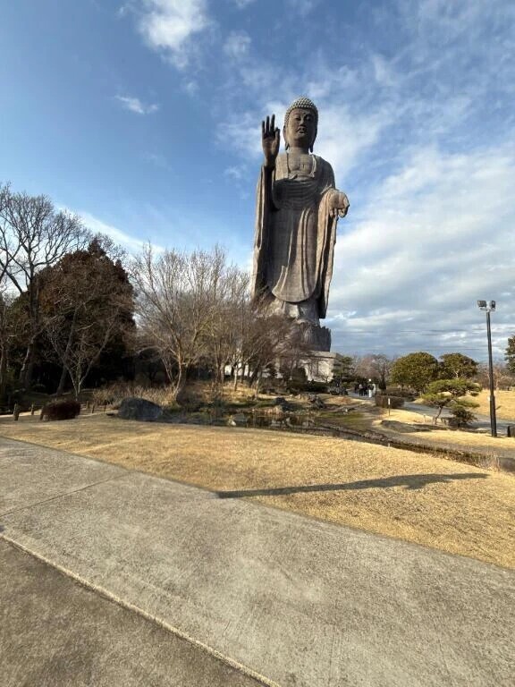 会いに行ってきました✨