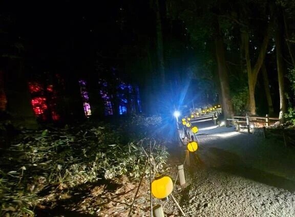 こんばんは🌙* :ﾟ