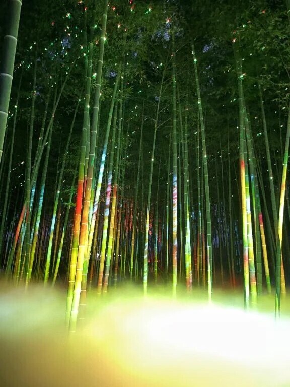 おはよう☀️｡°