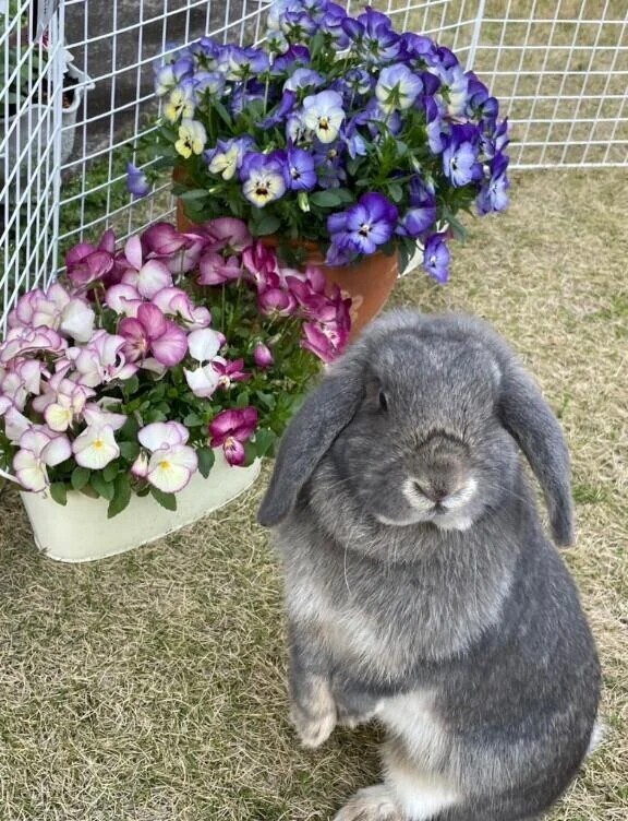 19:00までにお誘い下さ~い💗