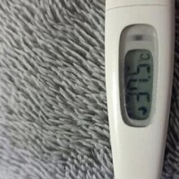 しゅんか【業界未経験】