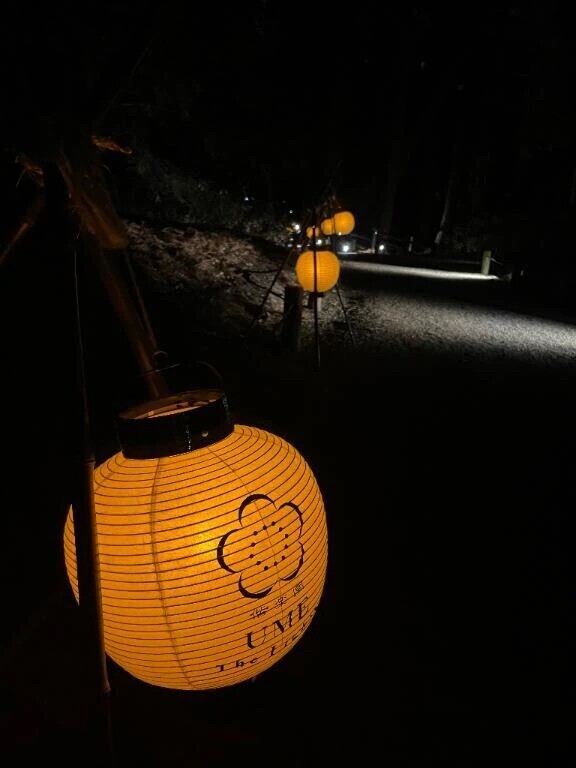 ありがとう☺️