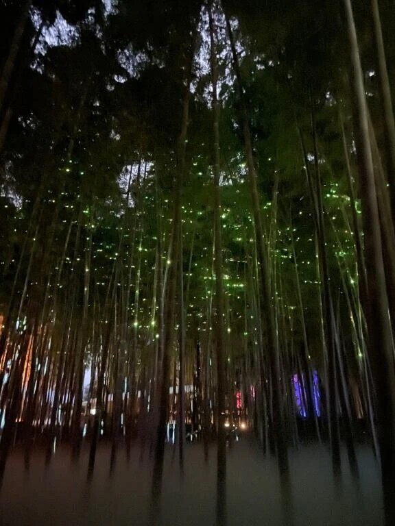 おはよう🔆｡°