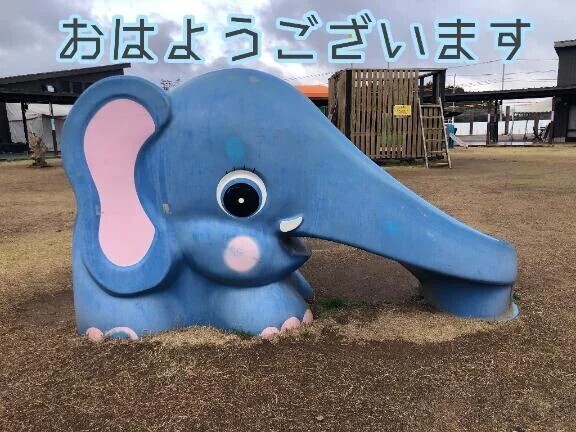 ☁️( '-'  ☁️ )曇りですね