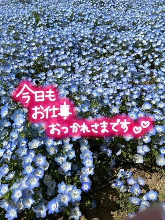 だらーん💤