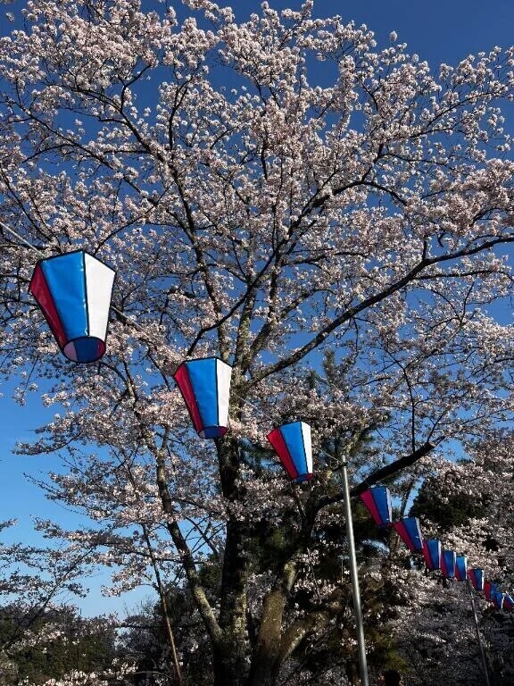 おはようございます☀️