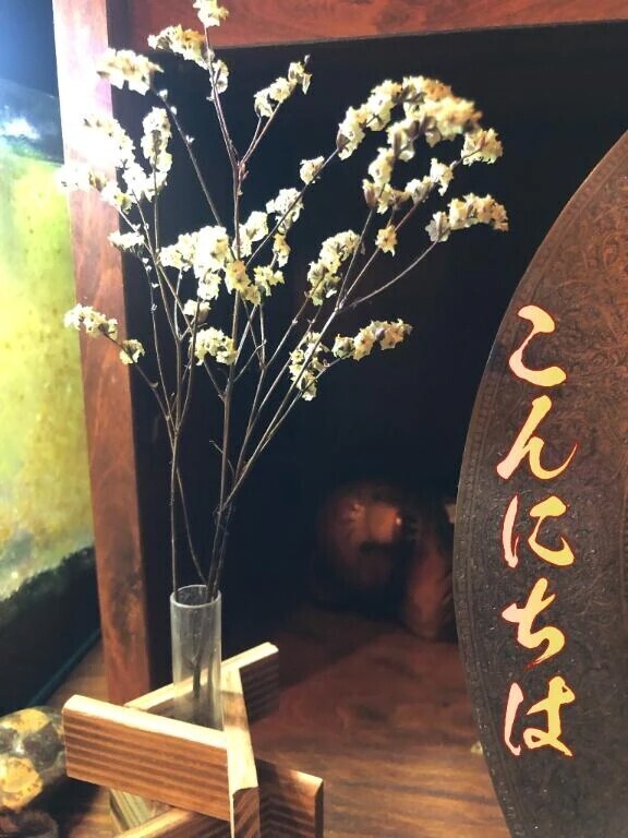 お昼ですね！お腹が空きました😵‍💫