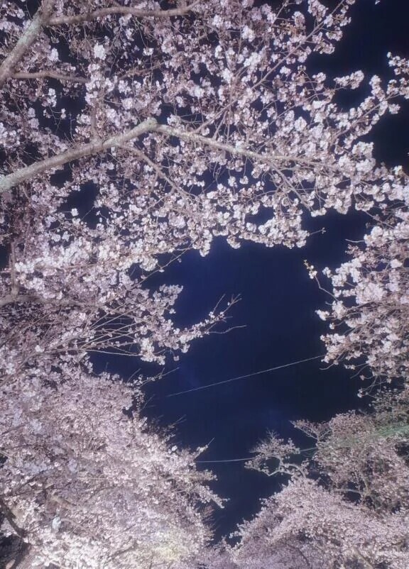 ねむい💙