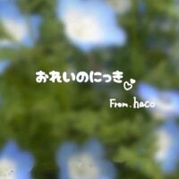 はこ【業界未経験】