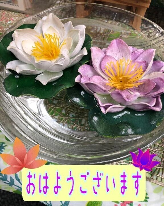 今日は出勤です🪷
