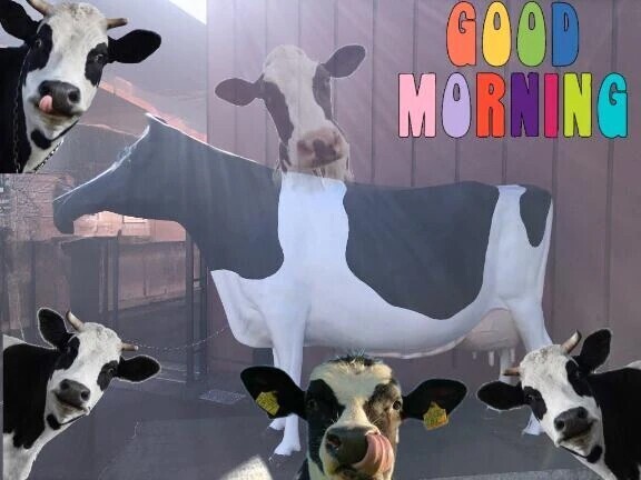 ᘜOOᗪ ᗰOᖇᑎIᑎ🐄⸒⸒
