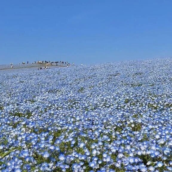 おはよう☀️