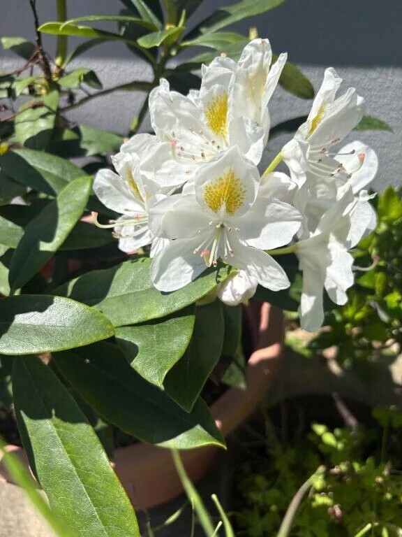 おつかれさまでした☺️