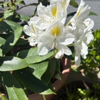 りか【業界未経験】