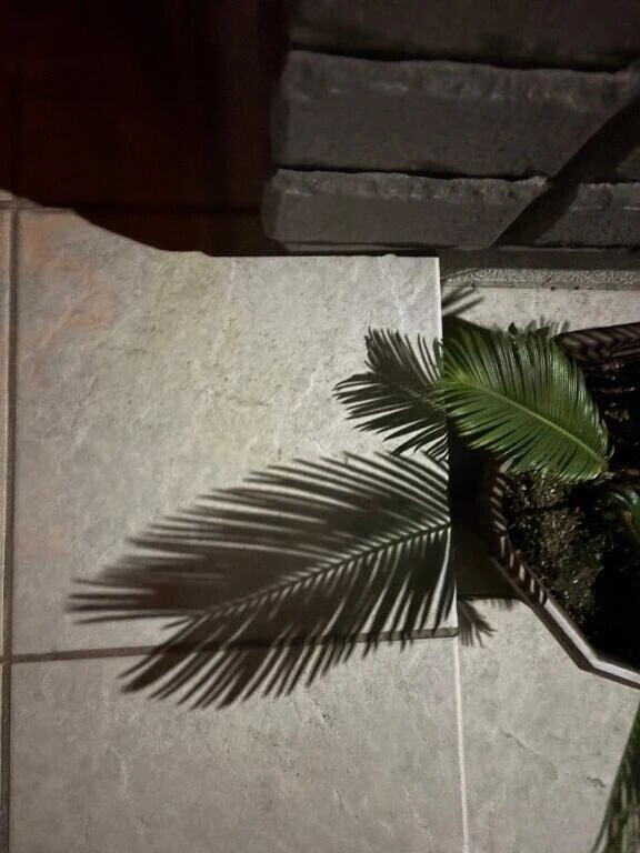 あした✍️と台風🌀