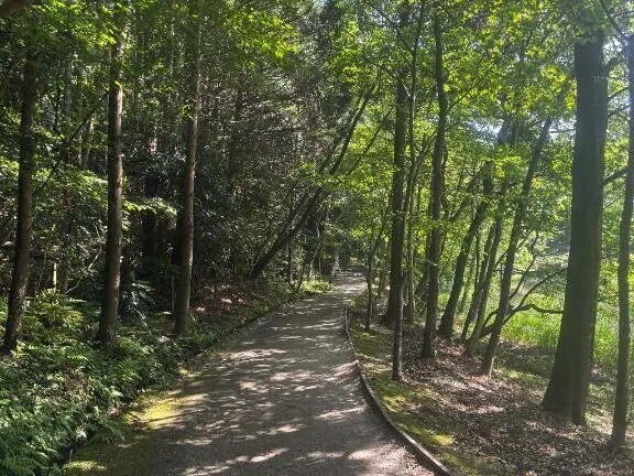 【お礼写メ日記】ありがとうございます🫶