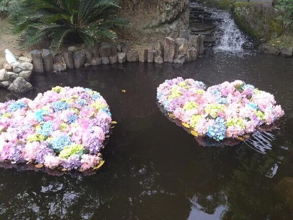 おはようございます(⁠´⁠∩⁠｡⁠•⁠ ⁠ᵕ⁠ ⁠•⁠｡⁠∩⁠`⁠)⁠