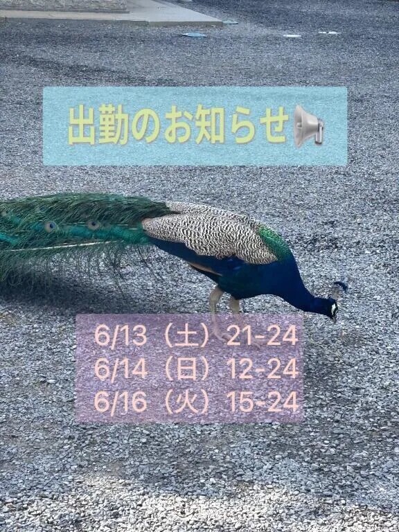 お知らせ🎵