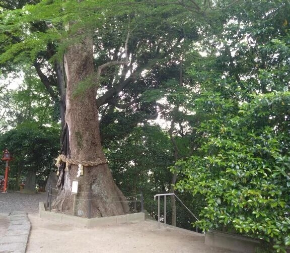 6月18日.19日出勤します🍀(⁠◠⁠ᴥ⁠◕⁠ʋ⁠)