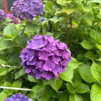 💐好き💐