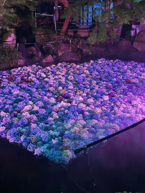 綺麗な写真おすそわけ♡