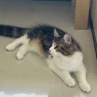 お疲れ様😘