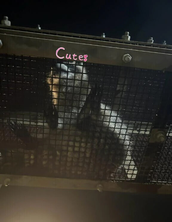 夜の、、、