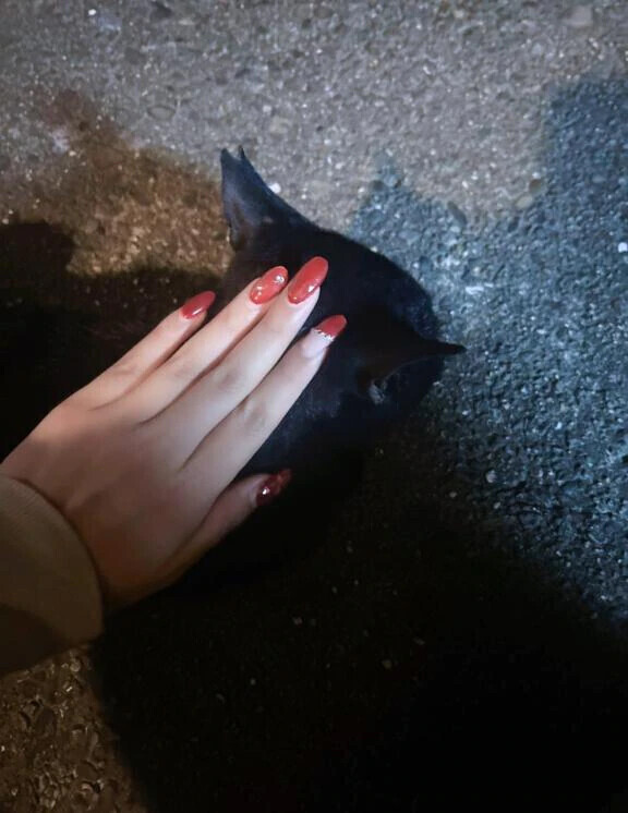 褒めてくれてありがと💅